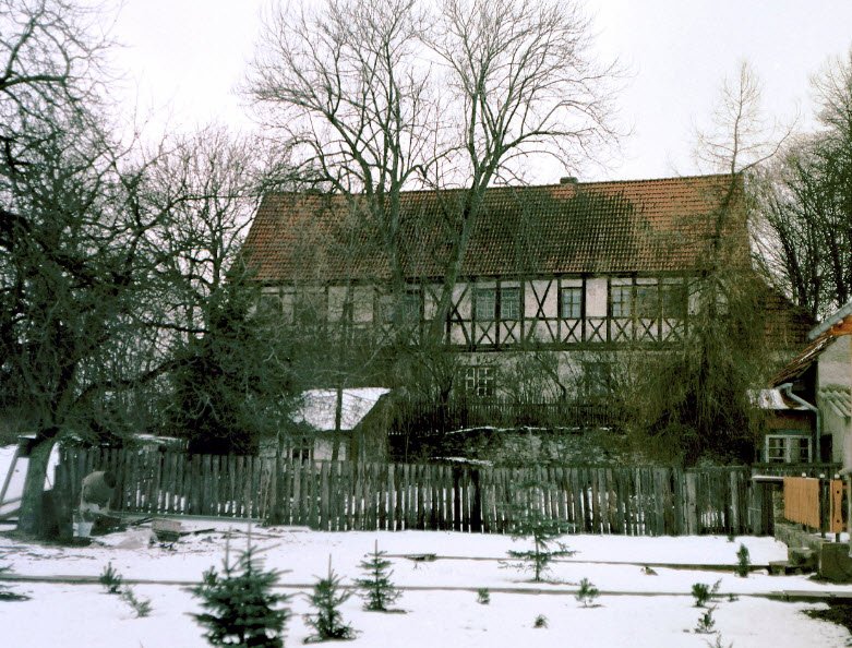 Burgruine Wolfsberg, Sangerhausen, Germany